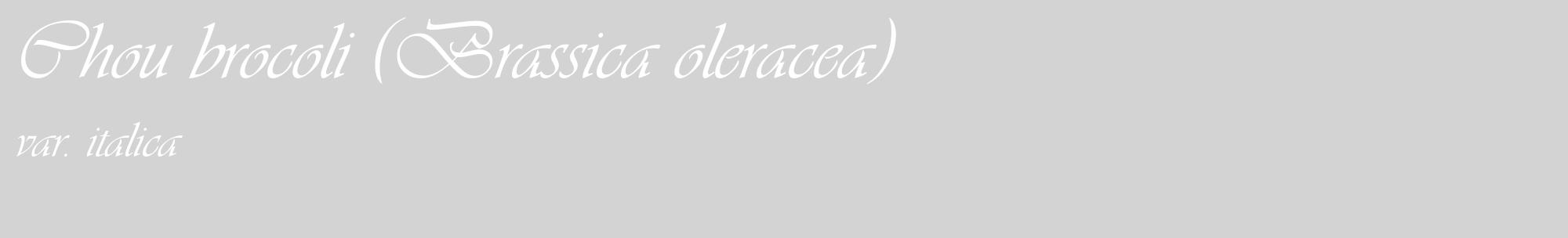 Étiquette de : Brassica oleracea var. italica - format c - style blanche56_basique_basiqueviv avec comestibilité