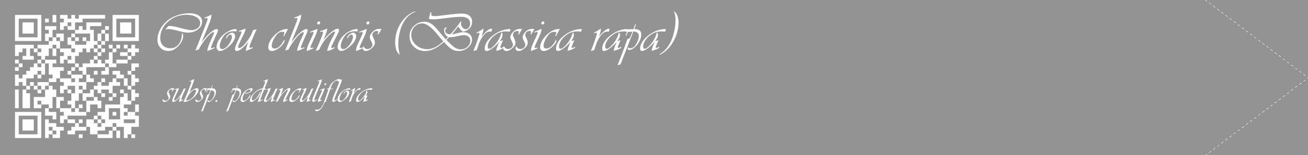 Étiquette de : Brassica rapa subsp. pedunculiflora - format c - style blanche44_simple_simpleviv avec qrcode et comestibilité