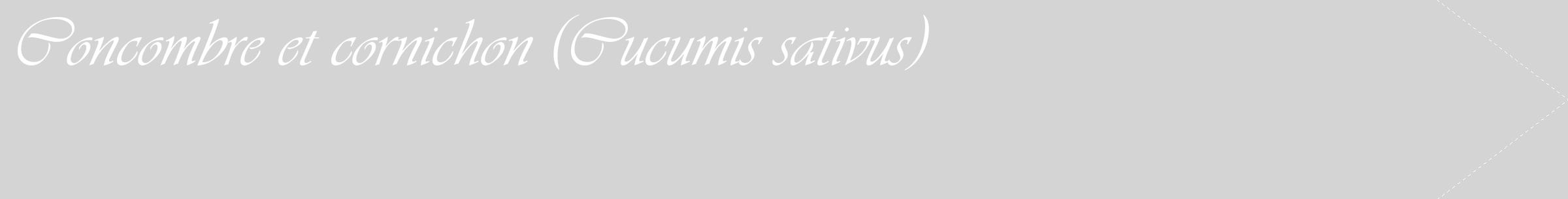 Étiquette de : Cucumis sativus - format c - style blanche40_simple_simpleviv avec comestibilité
