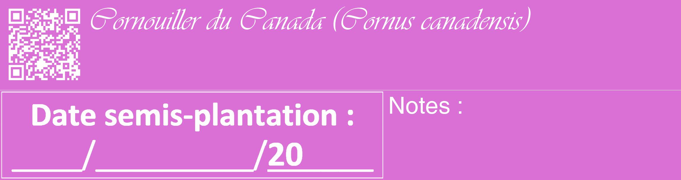 Étiquette de : Cornus canadensis - format c - style blanche52_basique_basiqueviv avec qrcode et comestibilité