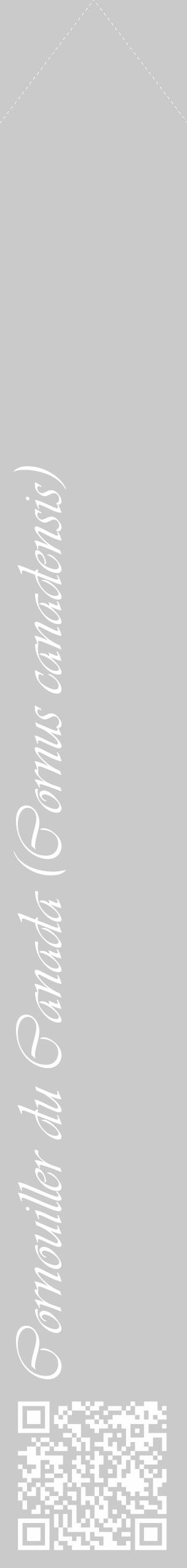 Étiquette de : Cornus canadensis - format c - style blanche21_simple_simpleviv avec qrcode et comestibilité - position verticale