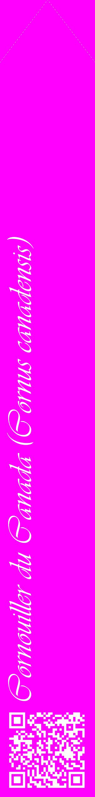 Étiquette de : Cornus canadensis - format c - style blanche51_simpleviv avec qrcode et comestibilité