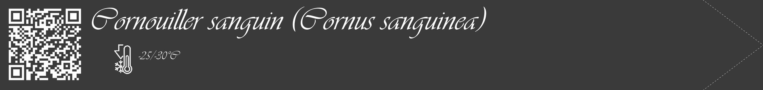 Étiquette de : Cornus sanguinea - format c - style blanche8_simple_simpleviv avec qrcode et comestibilité