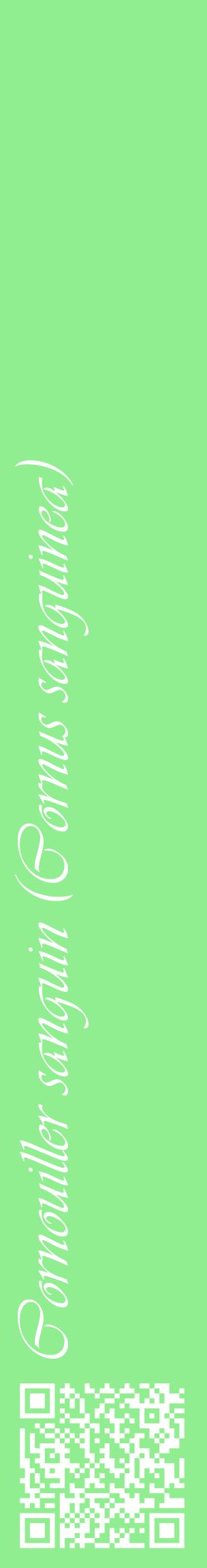 Étiquette de : Cornus sanguinea - format c - style blanche15_basiqueviv avec qrcode et comestibilité