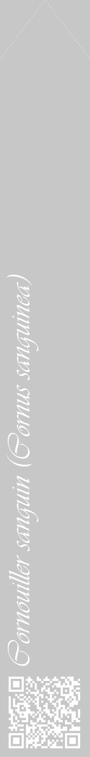 Étiquette de : Cornus sanguinea - format c - style blanche15_simple_simpleviv avec qrcode et comestibilité - position verticale