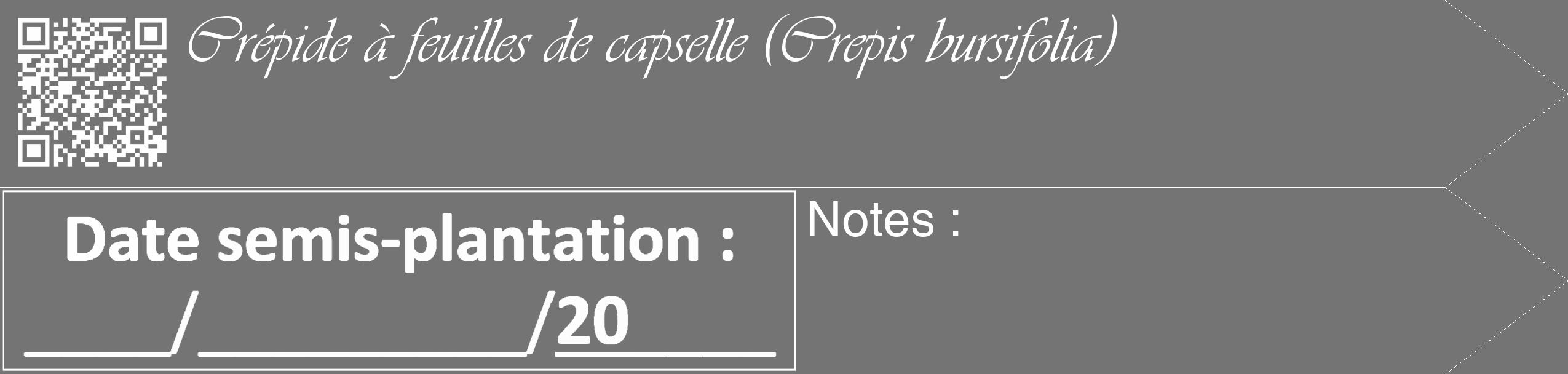 Étiquette de : Crepis bursifolia - format c - style blanche26_simple_simpleviv avec qrcode et comestibilité