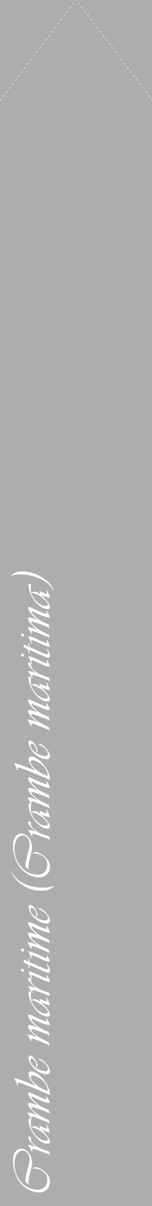 Étiquette de : Crambe maritima - format c - style blanche22_simple_simpleviv avec comestibilité - position verticale