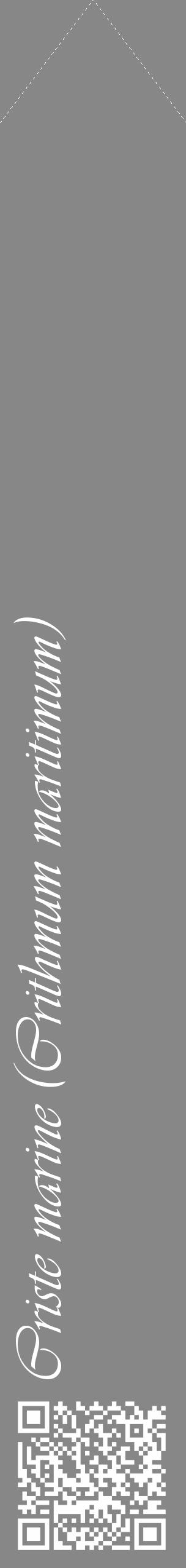 Étiquette de : Crithmum maritimum - format c - style blanche12_simple_simpleviv avec qrcode et comestibilité - position verticale