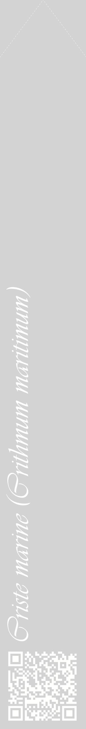 Étiquette de : Crithmum maritimum - format c - style blanche56_simpleviv avec qrcode et comestibilité