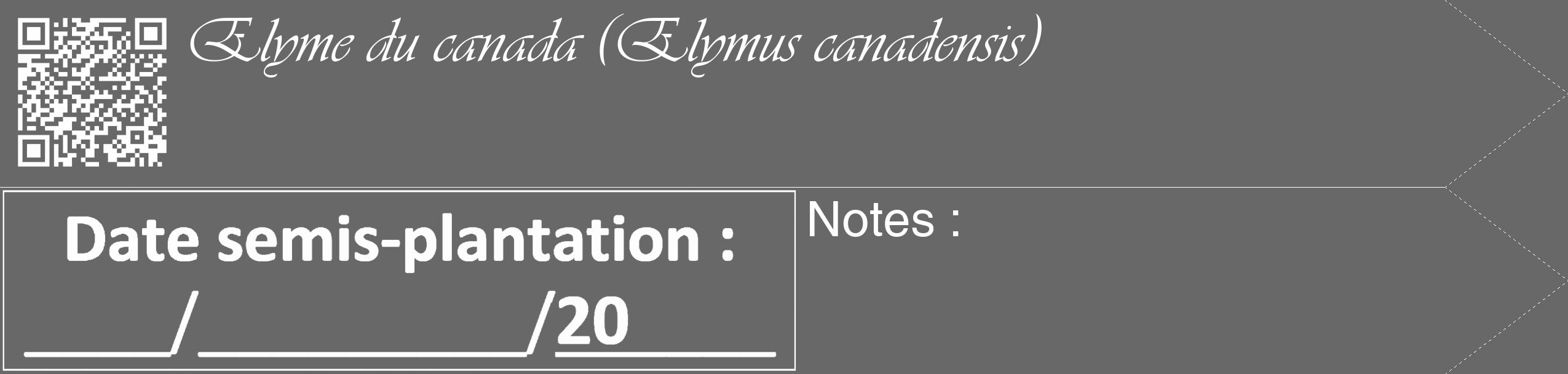 Étiquette de : Elymus canadensis - format c - style blanche6_simple_simpleviv avec qrcode et comestibilité
