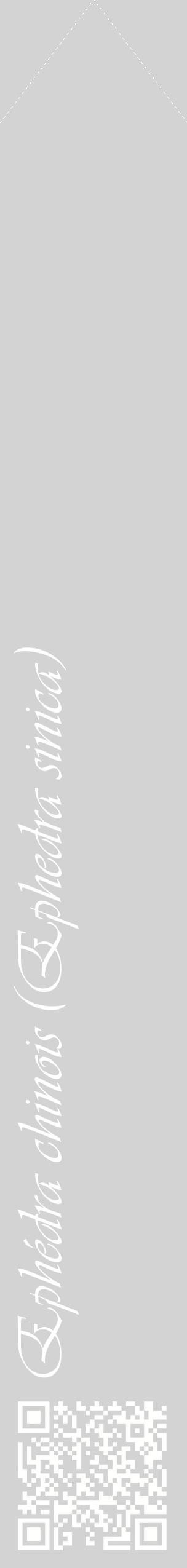 Étiquette de : Ephedra sinica - format c - style blanche56_simpleviv avec qrcode et comestibilité