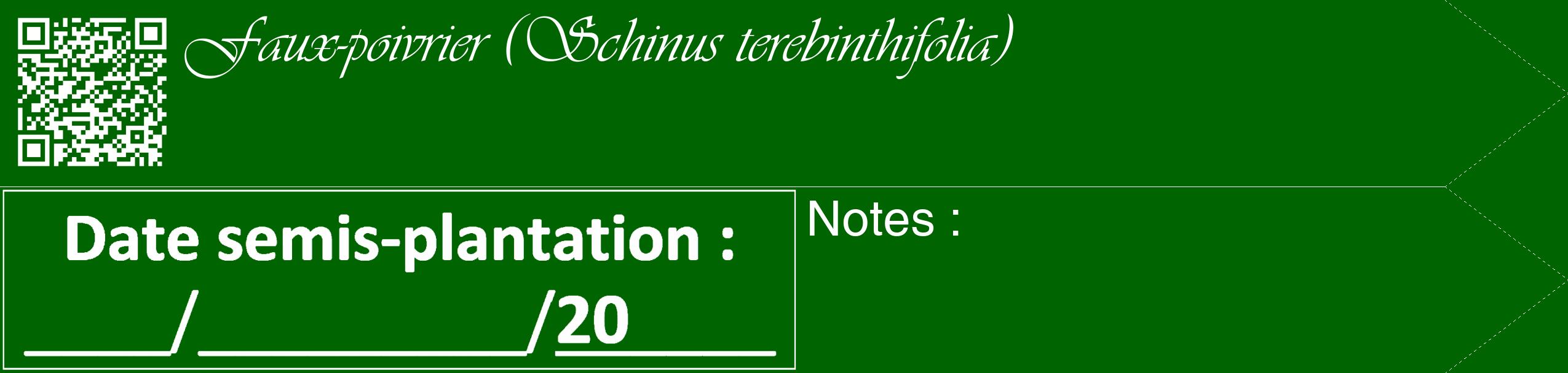 Étiquette de : Schinus terebinthifolia - format c - style blanche8_simple_simpleviv avec qrcode et comestibilité