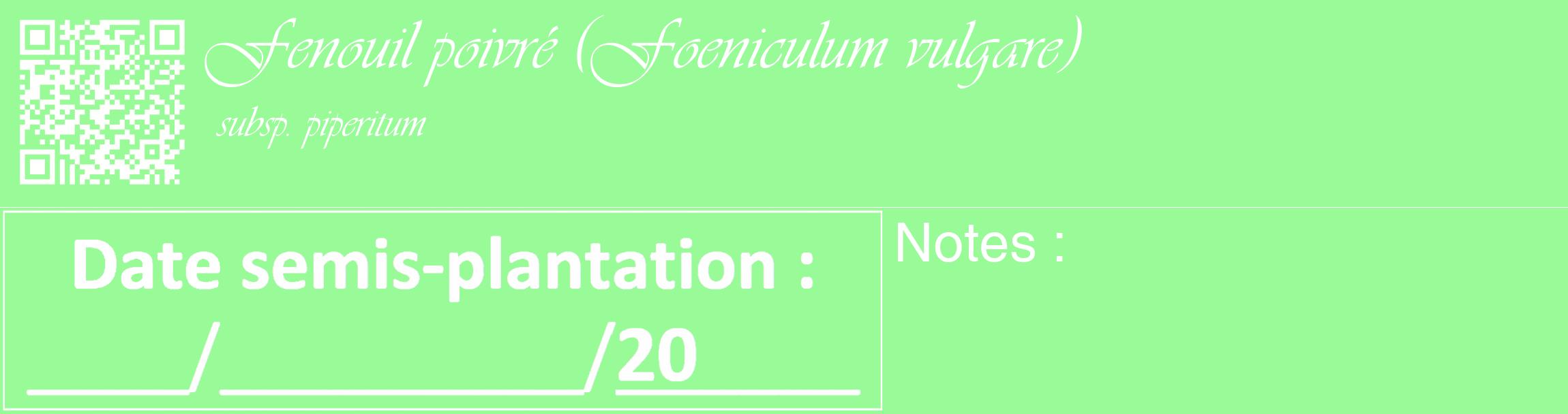 Étiquette de : Foeniculum vulgare subsp. piperitum - format c - style blanche14_basique_basiqueviv avec qrcode et comestibilité