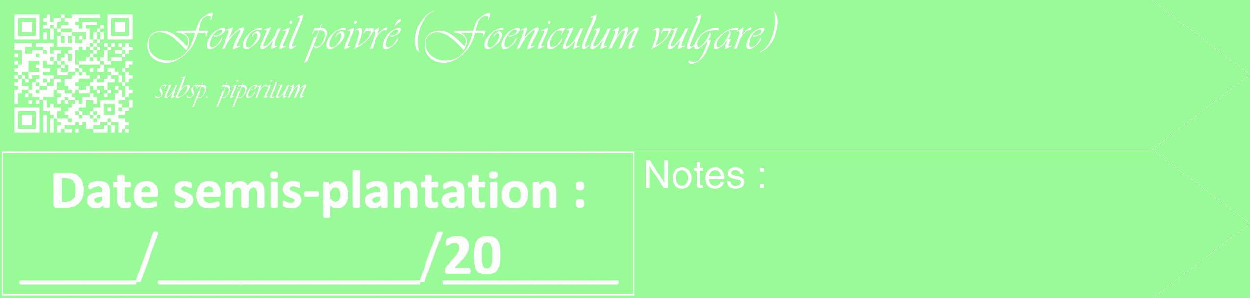 Étiquette de : Foeniculum vulgare subsp. piperitum - format c - style blanche14_simple_simpleviv avec qrcode et comestibilité