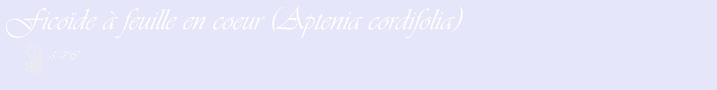 Étiquette de : Aptenia cordifolia - format c - style blanche55_simple_simpleviv avec comestibilité