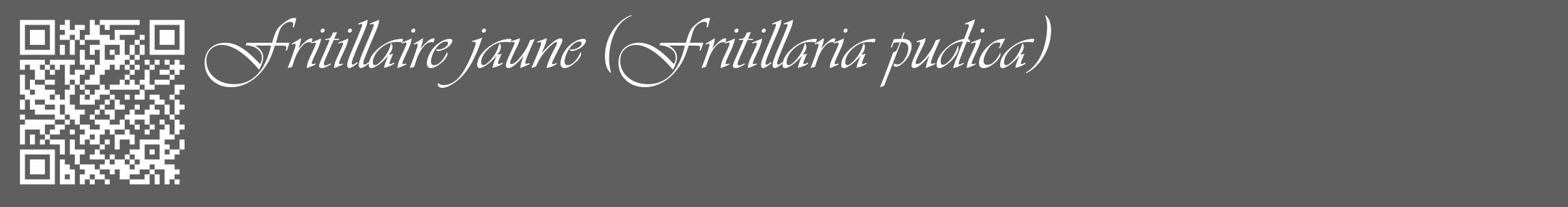 Étiquette de : Fritillaria pudica - format c - style blanche10_basique_basiqueviv avec qrcode et comestibilité