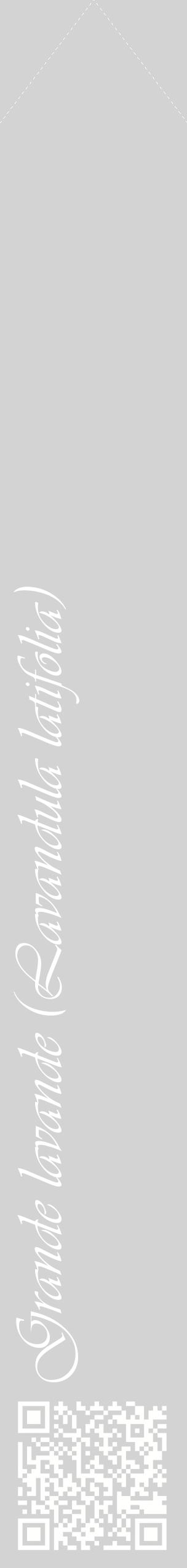 Étiquette de : Lavandula latifolia - format c - style blanche56_simpleviv avec qrcode et comestibilité