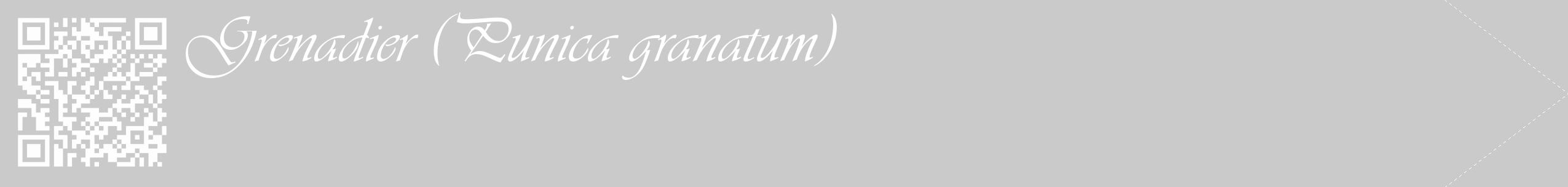 Étiquette de : Punica granatum - format c - style blanche21_simple_simpleviv avec qrcode et comestibilité