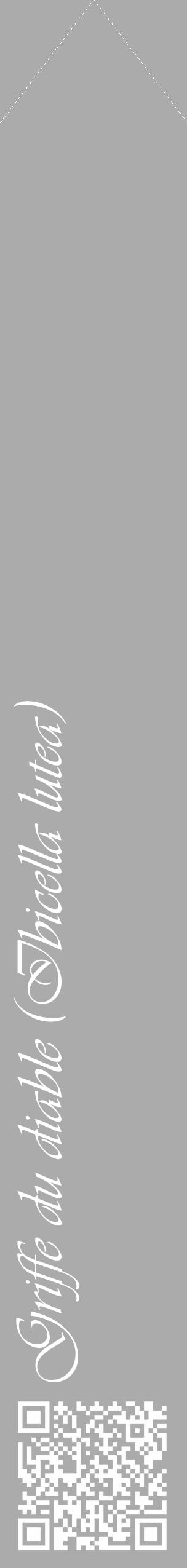 Étiquette de : Ibicella lutea - format c - style blanche37_simple_simpleviv avec qrcode et comestibilité - position verticale