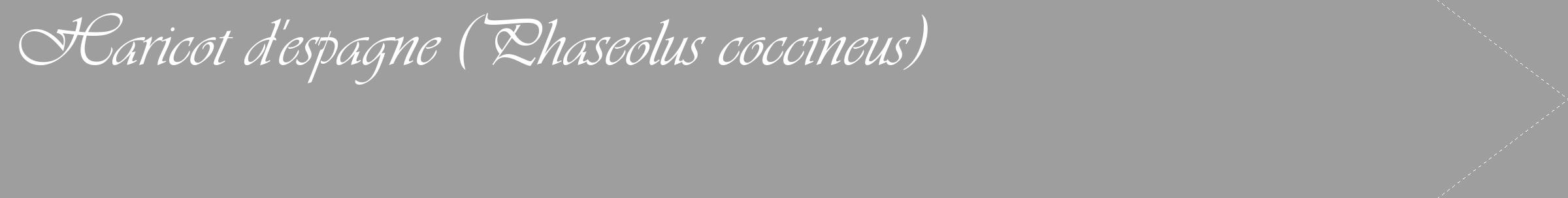 Étiquette de : Phaseolus coccineus - format c - style blanche42_simple_simpleviv avec comestibilité
