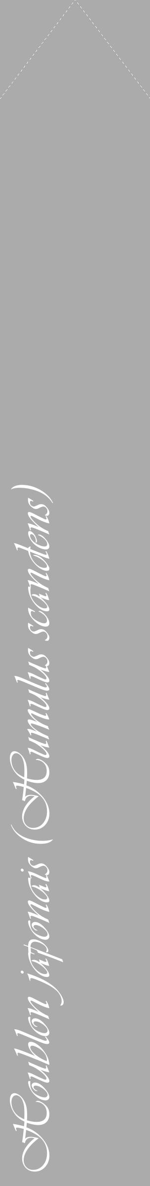 Étiquette de : Humulus scandens - format c - style blanche37_simple_simpleviv avec comestibilité - position verticale
