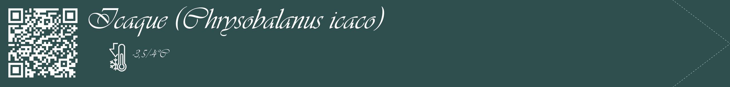 Étiquette de : Chrysobalanus icaco - format c - style blanche58_simple_simpleviv avec qrcode et comestibilité