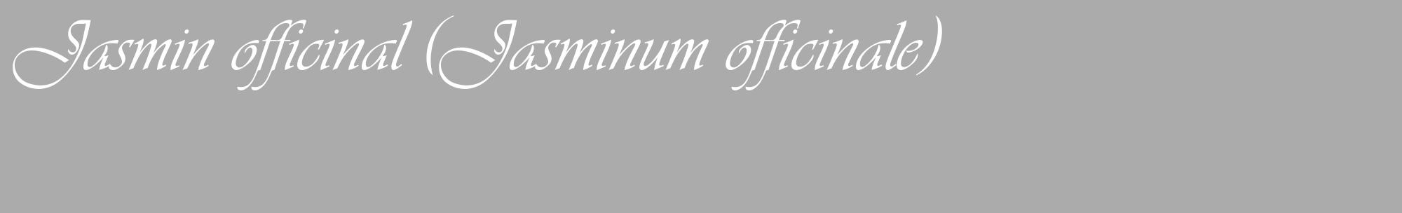 Étiquette de : Jasminum officinale - format c - style blanche37_basique_basiqueviv avec comestibilité