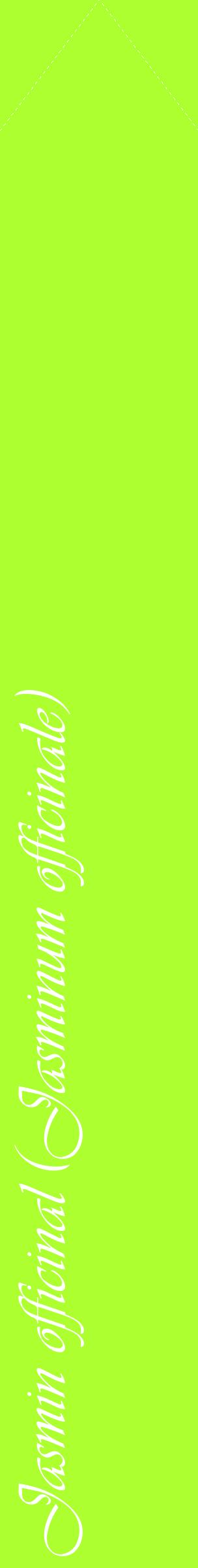 Étiquette de : Jasminum officinale - format c - style blanche17_simpleviv avec comestibilité