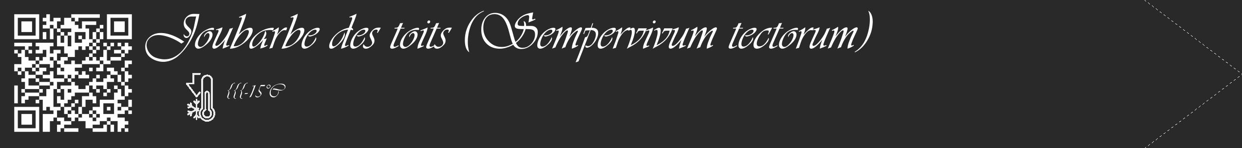 Étiquette de : Sempervivum tectorum - format c - style blanche34_simple_simpleviv avec qrcode et comestibilité