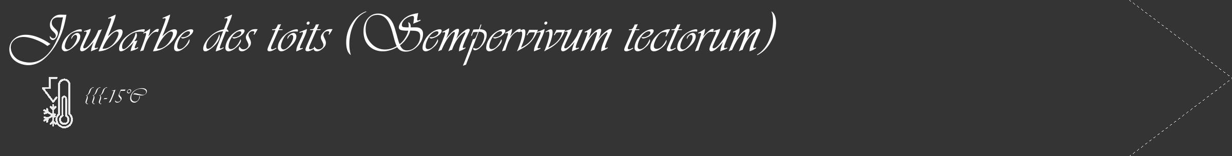 Étiquette de : Sempervivum tectorum - format c - style blanche46_simple_simpleviv avec comestibilité