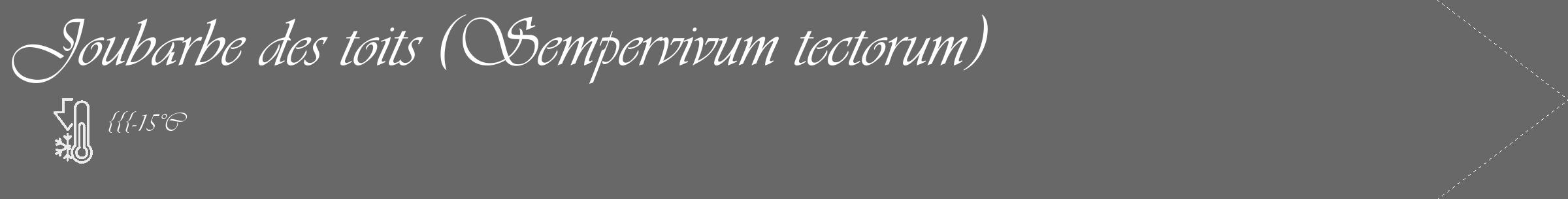 Étiquette de : Sempervivum tectorum - format c - style blanche6_simple_simpleviv avec comestibilité