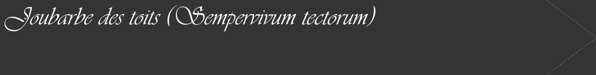 Étiquette de : Sempervivum tectorum - format c - style blanche46_simple_simpleviv avec comestibilité