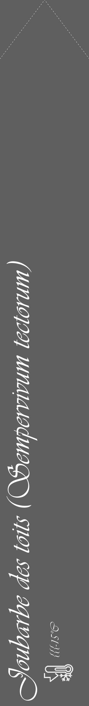 Étiquette de : Sempervivum tectorum - format c - style blanche10_simple_simpleviv avec comestibilité - position verticale