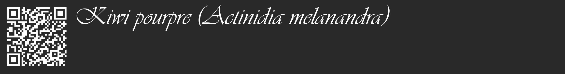 Étiquette de : Actinidia melanandra - format c - style blanche34_basique_basiqueviv avec qrcode et comestibilité