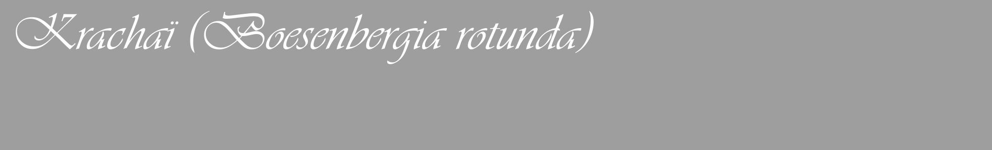 Étiquette de : Boesenbergia rotunda - format c - style blanche42_basique_basiqueviv avec comestibilité