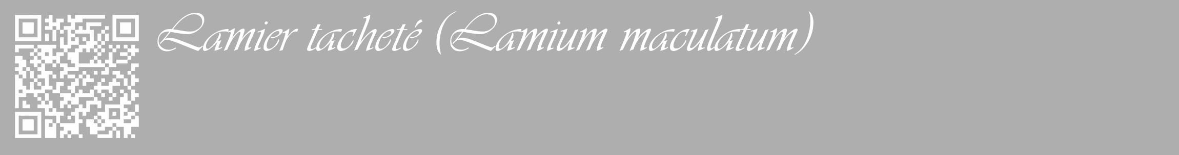 Étiquette de : Lamium maculatum - format c - style blanche53_basique_basiqueviv avec qrcode et comestibilité