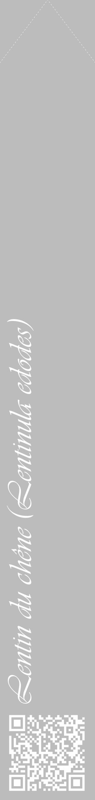 Étiquette de : Lentinula edodes - format c - style blanche1_simple_simpleviv avec qrcode et comestibilité - position verticale