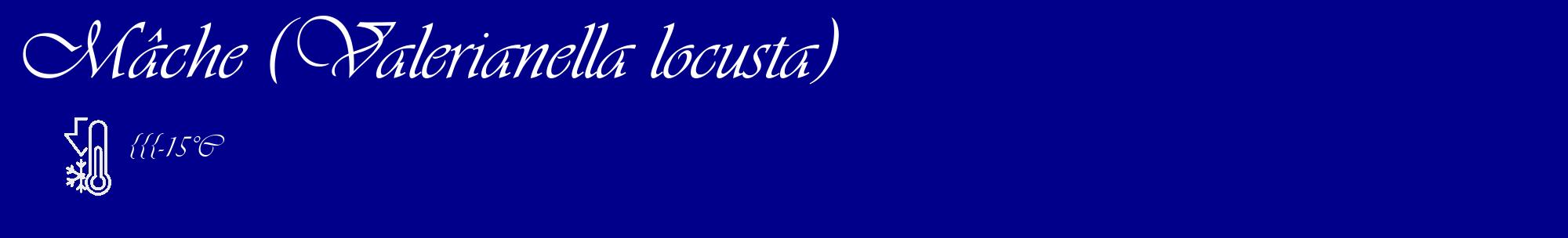 Étiquette de : Valerianella locusta - format c - style blanche7_basique_basiqueviv avec comestibilité