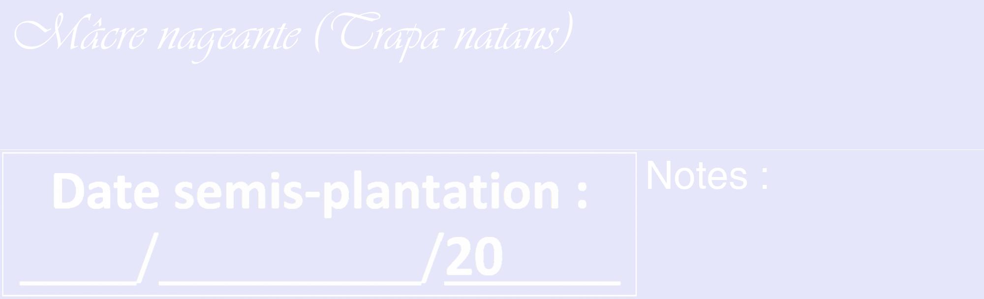 Étiquette de : Trapa natans - format c - style blanche55_basique_basiqueviv avec comestibilité