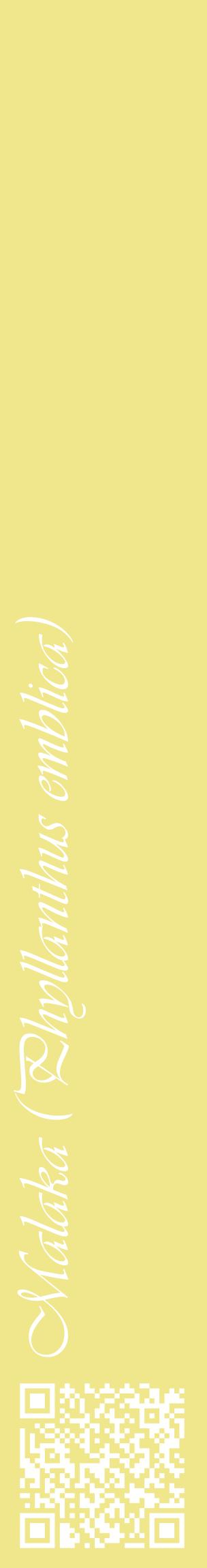 Étiquette de : Phyllanthus emblica - format c - style blanche20_basiqueviv avec qrcode et comestibilité
