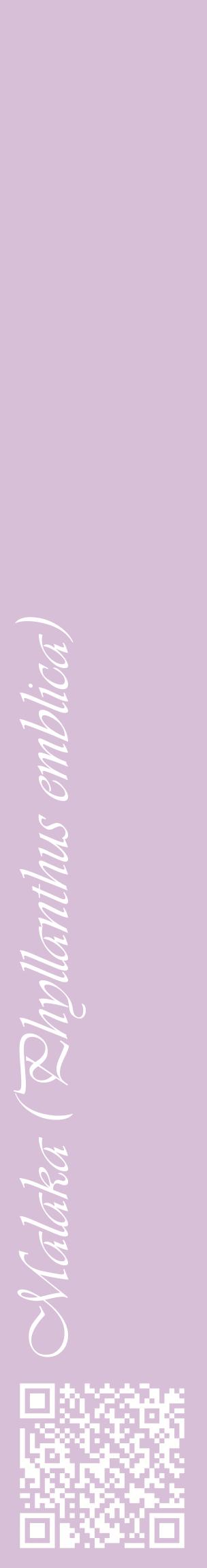 Étiquette de : Phyllanthus emblica - format c - style blanche54_basiqueviv avec qrcode et comestibilité