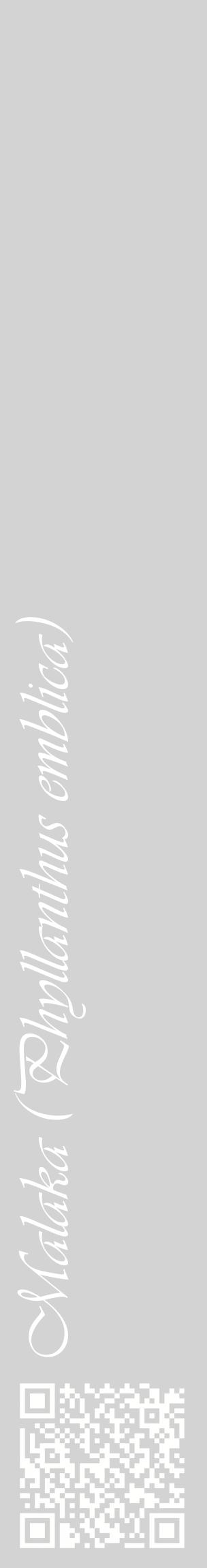 Étiquette de : Phyllanthus emblica - format c - style blanche56_basiqueviv avec qrcode et comestibilité