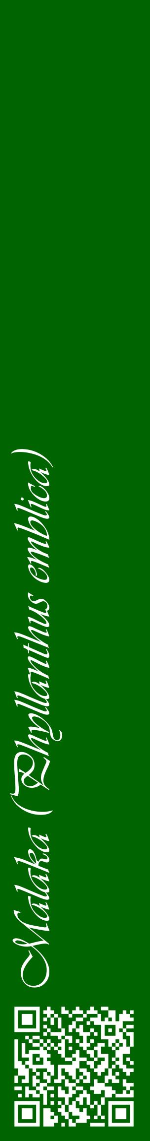 Étiquette de : Phyllanthus emblica - format c - style blanche8_basiqueviv avec qrcode et comestibilité