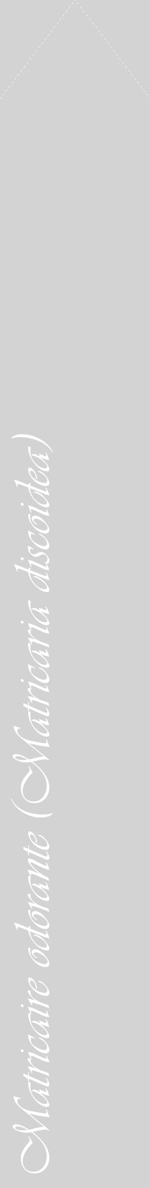 Étiquette de : Matricaria discoidea - format c - style blanche56_simpleviv avec comestibilité
