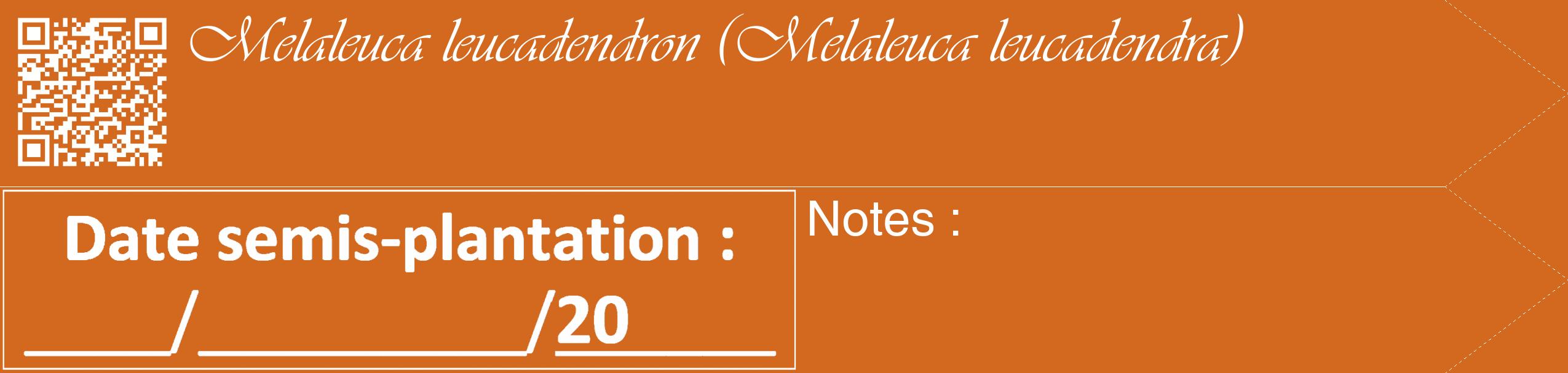Étiquette de : Melaleuca leucadendra - format c - style blanche31_simple_simpleviv avec qrcode et comestibilité