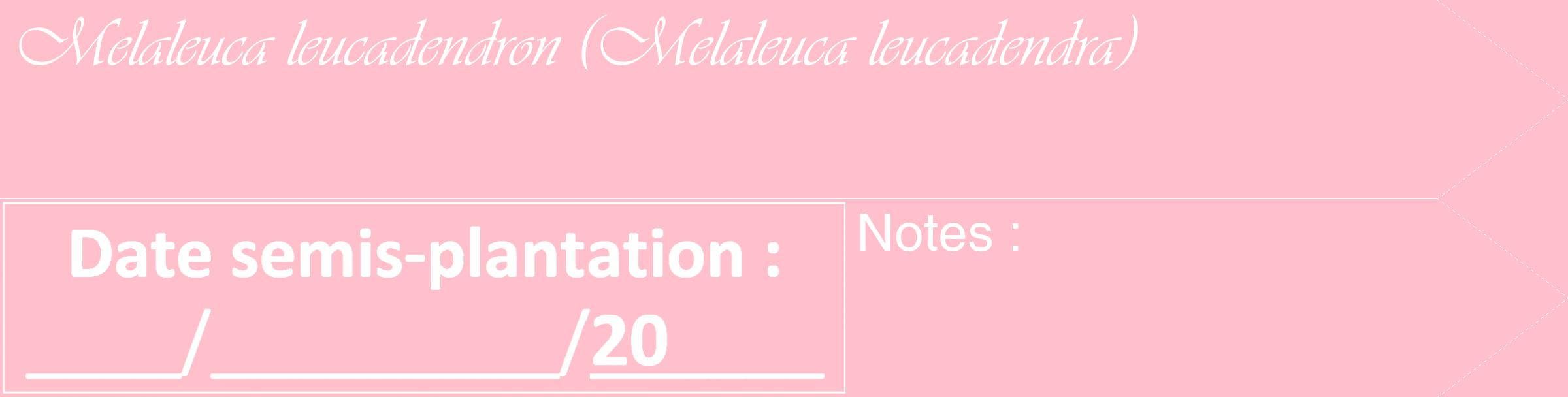 Étiquette de : Melaleuca leucadendra - format c - style blanche40_simple_simpleviv avec comestibilité