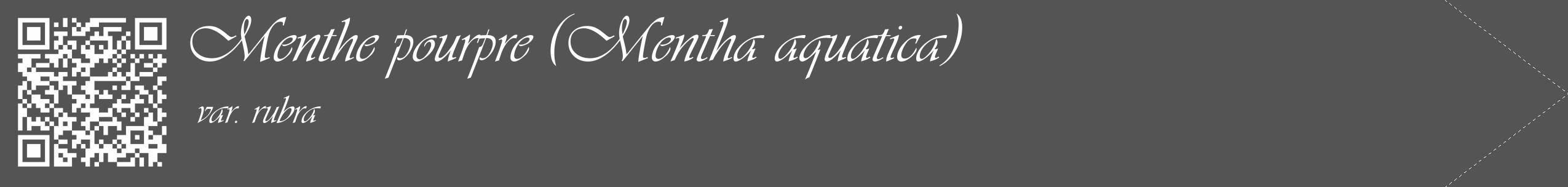 Étiquette de : Mentha aquatica var. rubra - format c - style blanche30_simple_simpleviv avec qrcode et comestibilité