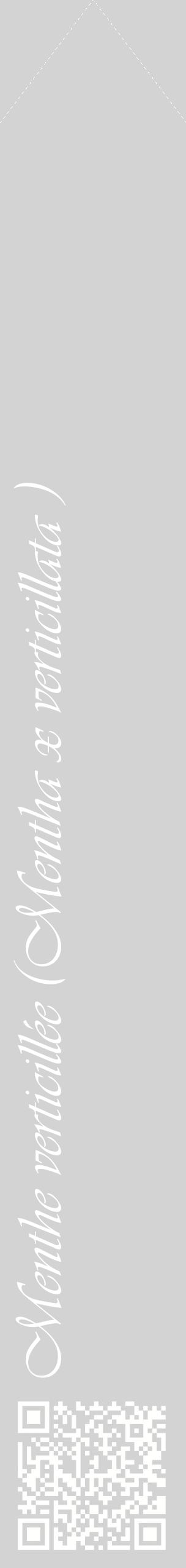 Étiquette de : Mentha x verticillata  - format c - style blanche56_simpleviv avec qrcode et comestibilité