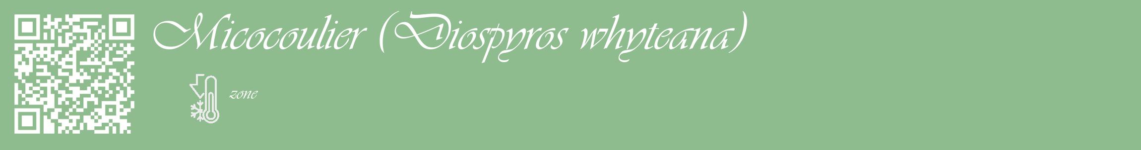 Étiquette de : Diospyros whyteana - format c - style blanche13_basique_basiqueviv avec qrcode et comestibilité