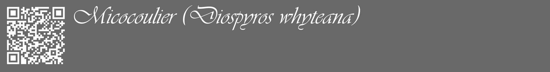 Étiquette de : Diospyros whyteana - format c - style blanche43_basique_basiqueviv avec qrcode et comestibilité
